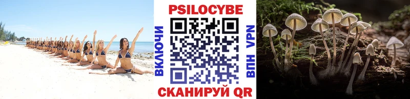 Псилоцибиновые грибы прущие грибы  Купить где  Алупка 